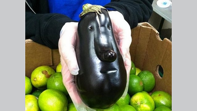 বাজারে আমার এত দাম, অথচ এরা আমাকে একটা পোশাক-আশাকও দিচ্ছে না।