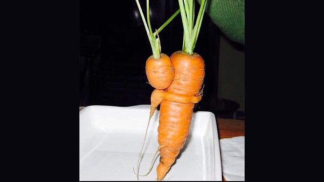 মা, তোমাকে অ-নে-ক ভালোবাসি!