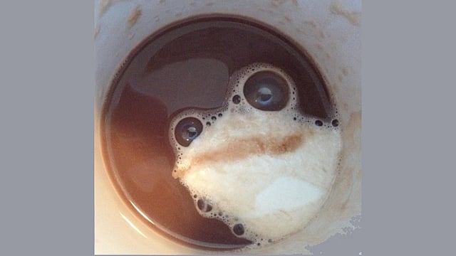 কফির কাপে এটা ব্যাঙ নাকি?