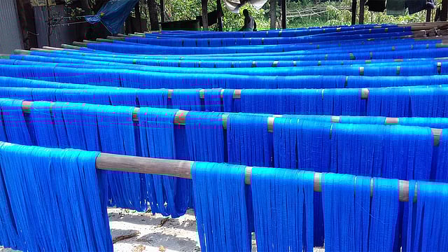 রামেরকান্দা সড়কের পাশে রং দেওয়ার পর শুকানো হচ্ছে সুতা। ছবি: কাজী আলিম-উজ-জামান