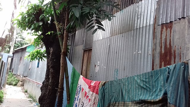 রোহিতপুরের নারায়ণপট্টি। ছবি: কাজী আলিম-উজ-জামান