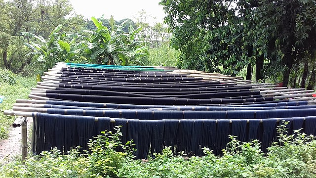 রামেরকান্দা সড়কের পাশে রং দেওয়ার পর শুকানো হচ্ছে সুতা। ছবি: কাজী আলিম-উজ-জামান