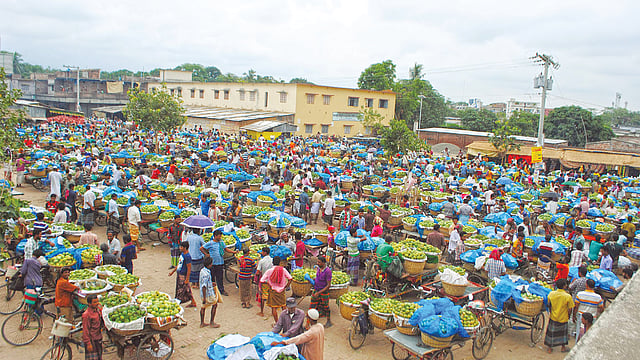 চাঁপাইনবাবগঞ্জের শিবগঞ্জ উপজেলার কানসাট আমের বাজার। ছবিটি গত শনিবার তোলা l প্রথম আলো