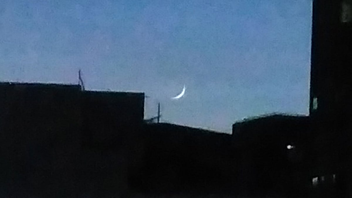 ফাইল ছবি 