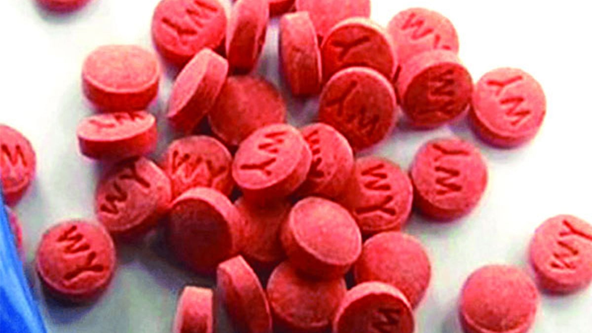 ইয়াবার ফাইল ছবি