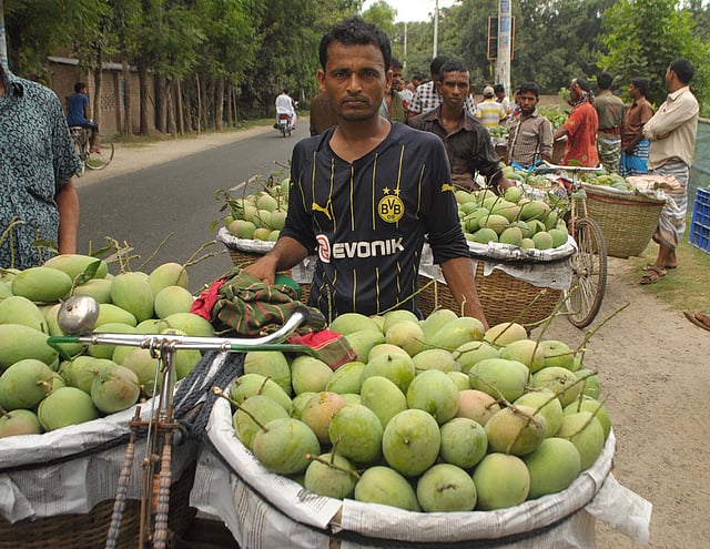 এঁরাই সেই সাইকেলওয়ালা। চাঁপাইনবাবগঞ্জের শিবগঞ্জ-সোনামসজিদ সড়কের কানসাট পল্লী বিদ্যুৎকেন্দ্রের কাছ থেকে আজ ছবিটি তোলা। প্রথম আলো