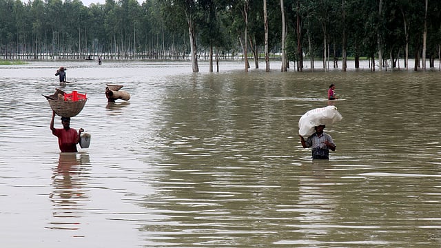 যমুনা নদীর পানি বাড়ছে তো বাড়ছেই। তাই নদীর পাড়ের কামালপুর ফকিরপাড়া গ্রামবাসী বন্যা নিয়ন্ত্রণ বাঁধে আশ্রয় নিতে যাচ্ছে। ছবিটি মঙ্গলবার বগুড়ার সারিয়াকান্দি উপজেলার কামালপুর গ্রাম থেকে তোলা। ছবি: সোয়েল রানা