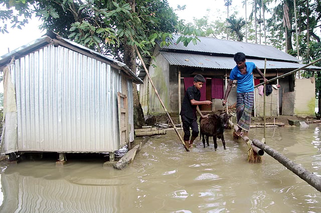 কুশিয়ারা নদীর পানি বাড়ার কারণে সিলেটের ফেঞ্চুগঞ্জ উপজেলার গৌরীপুর ইউনিয়নের মধুরাই গ্রামের মানুষ প্রায় এক মাস ধরে পানিবন্দী। ছবিটি আজ বুধবার দুপুরে তোলা। ছবি: আনিস মাহমুদ