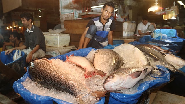 কারওয়ান বাজারে বিক্রির জন্য সাজানো রুই মাছ। ছবি: আবদুস সালাম