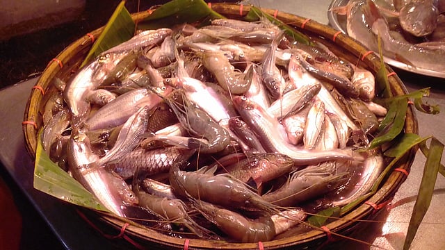 পলাশী বাজারে বিক্রি হচ্ছে পাঁচমিশালি মাছ। এক কেজির দাম ৬০০ টাকা। ছবি: অর্ণব সান্যাল