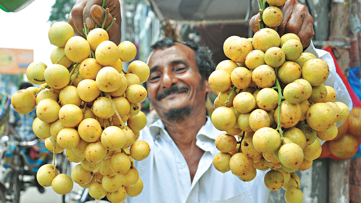 বাজারে এসেছে লটকন। গতকাল তোলা ছবি l প্রথম আলো