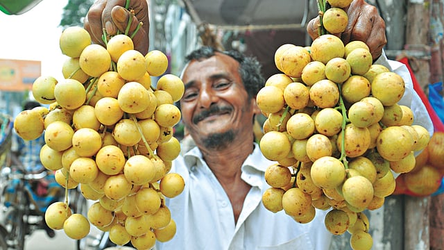 বাজারে এসেছে লটকন। গতকাল তোলা ছবি l প্রথম আলো