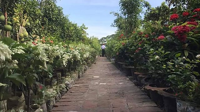 ফুল-ফলের জানা অজানা শত শত গাছের মেলা