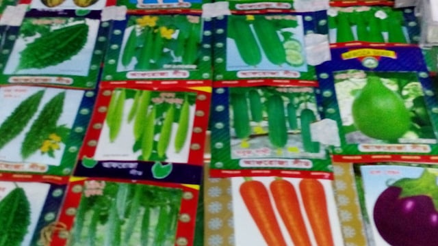 রয়েছে নানা ফুল ফলে বীজ।