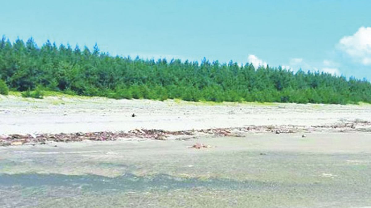 পর্যটনকেন্দ্র স্থাপনের প্রক্রিয়ায় সোনাদিয়া দ্বীপের প্রাকৃতিক সৌন্দর্য হারিয়ে যেতে পারে