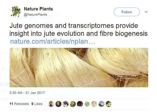 পাটের এই নতুন জাত নিয়ে বিশ্বখ্যাত বিজ্ঞান জার্নাল নেচার-এ গত জানুয়ারি মাসে একটি নিবন্ধ ছাপা হয়। নেচার প্ল্যান্টসে সেটিরই টুইট