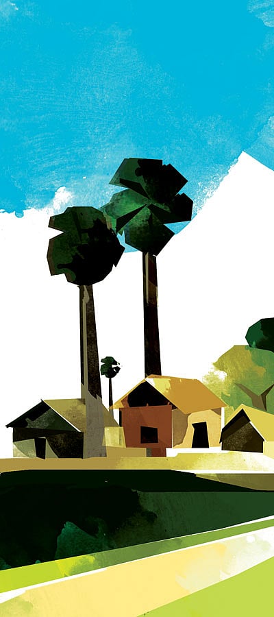 অলংকরণ: তুলি