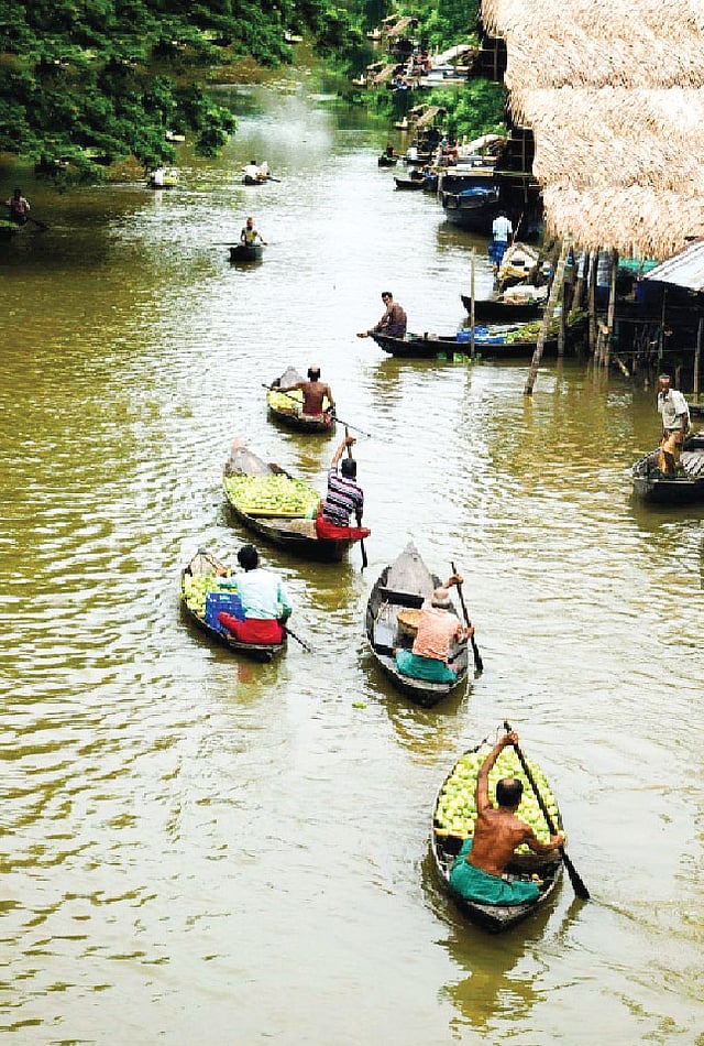 ছোট ছোট খাল দিয়ে আসছে পেয়ারার নৌকা