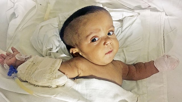 নিজস্ব ভঙ্গিমায় তোফা। গতকাল তাদের ছবি তুলেছেন চিকিৎসক কৌশিক ভৌমিক