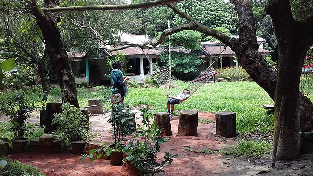 রেস্তোরাঁ প্রাঙ্গণের চিত্র।