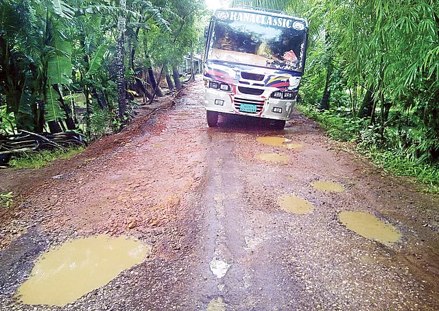 বরগুনা-বাকেরগঞ্জ-বরিশাল আঞ্চলিক মহাসড়কের বরগুনা থেকে গলাচিপা পর্যন্ত সড়কের ভাঙাচোরা দশা। ছবিটি সম্প্রতি গৌরিচন্না থেকে তোলা l প্রথম আলো