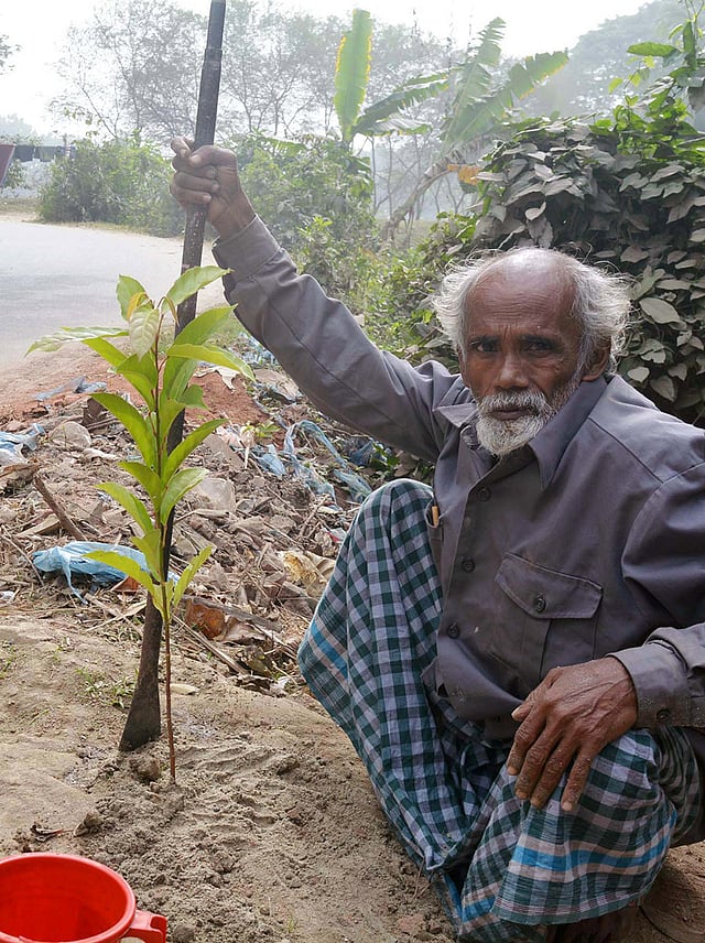 ফরিদপুরে সড়কের পাশে গাছ লাগাচ্ছেন সামাদ শেখ। ছবি: প্রথম আলো
