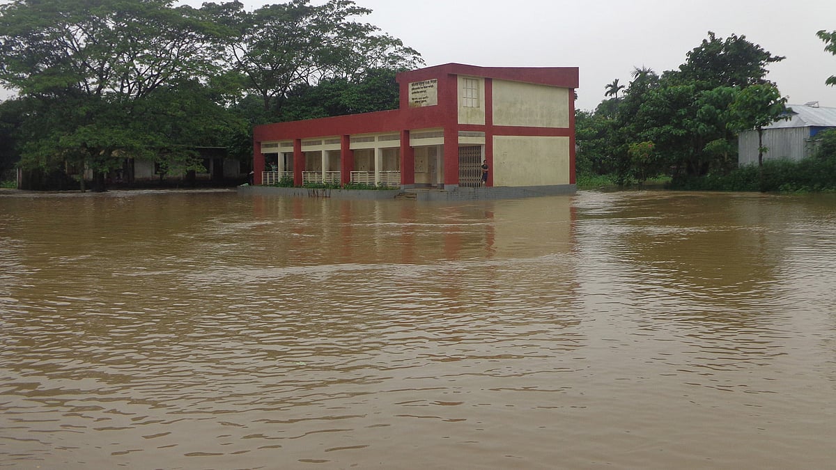 ফাইল ছবি