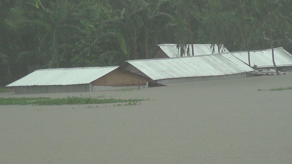 অবিরাম বৃষ্টি ও ঢলে পঞ্চগড় পৌরসভার নিমনগর এলাকা পানিতে তলিয়ে গেছে। গতকালের ছবি l প্রথম আলো