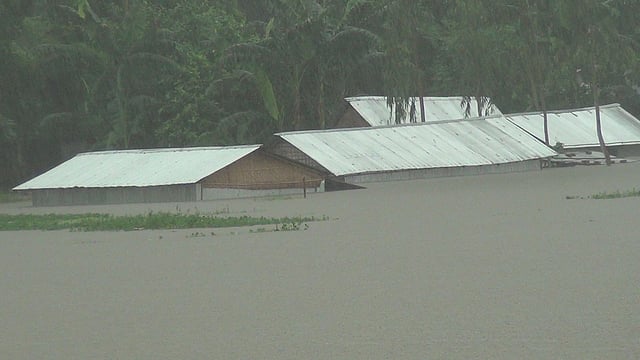 অবিরাম বৃষ্টি ও ঢলে পঞ্চগড় পৌরসভার নিমনগর এলাকা পানিতে তলিয়ে গেছে। গতকালের ছবি l প্রথম আলো