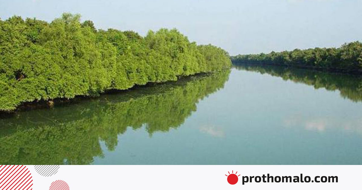 সুন্দরবনে পৃথক অভিযানে দস্যুদের হাতে জিম্মি ২১ জেলেকে উদ্ধার, অস্ত্র-গুলি জব্দ সুন্দরবনে পৃথক অভিযানে দস্যুদের হাতে জিম্মি ২১ জেলেকে উদ্ধার, অস্ত্র-গুলি জব্দ