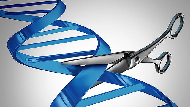 জিন সম্পাদনা করতে পারছে মানুষ। মুক্তি মিলতে পারে কঠিন সব রোগ থেকে