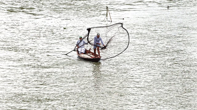 বর্ষায় প্রাণ ফিরে পাচ্ছে বুড়িগঙ্গা। নদীতে মিলছে মাছ। সেই মাছ বিক্রি হচ্ছে নদীর তীরেই। ছবিগুলো বুড়িগঙ্গার কামরাঙ্গীরচর ও বছিলা এলাকা থেকে তোলা l প্রথম আলো