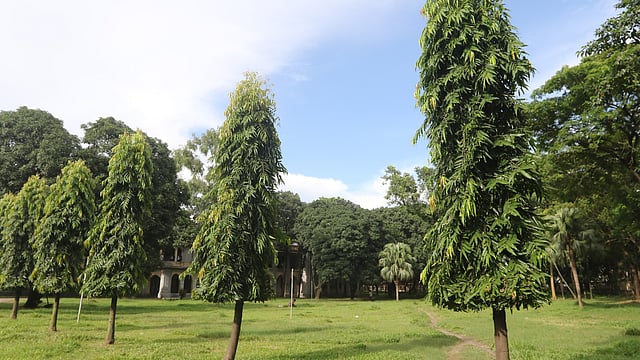 ভবনের সামনে গাছে ঘেরা এবং ঘাসে মোড়া মাঠ।