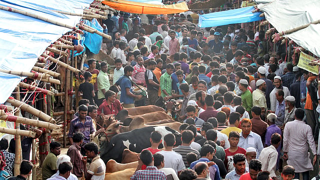 জমজমাট চট্টগ্রাম নগরের পশুর হাটগুলো। ছবিটি মঙ্গলবার নগরের বিবিরহাট পশুর হাট থেকে তোলা। ছবি: জুয়েল শীল