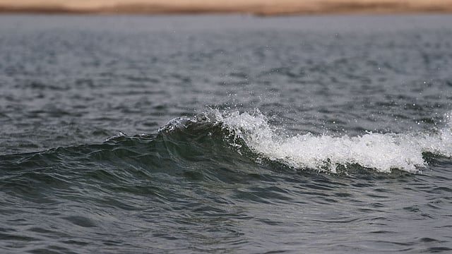 ভ্রমণপিপাসুরা ধলাই নদে এমন স্রোতও দেখতে পান।