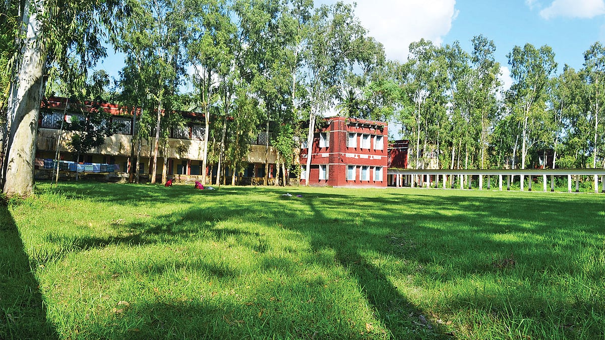 ফাইল ছবি