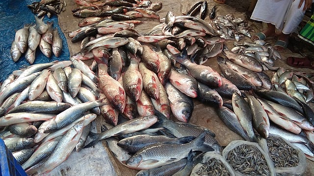 ক্রেতার জন্য মাছ সাজিয়ে রাখা হয়েছে। ছবিটি আজ সোমবার ভোরে তোলা। ছবি: নাজনীন আখতার