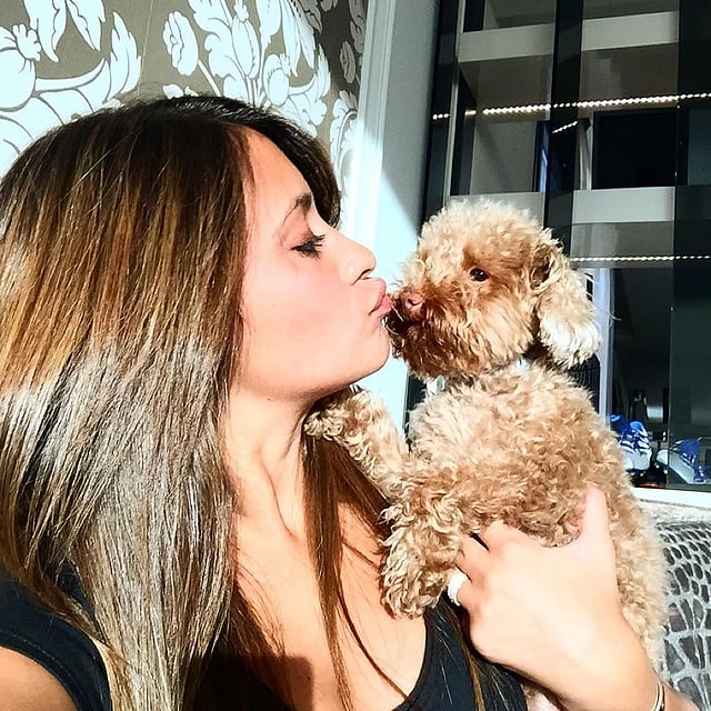 কুকুর টোবির সঙ্গে রোকুজ্জো। ছবি: ইনস্টাগ্রাম