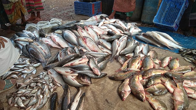 পুরান ঢাকার সোয়ারীঘাটে মাছের পাইকারি বাজার। ছবিটি আজ সোমবার ভোরে তোলা। ছবি: নাজনীন আখতার