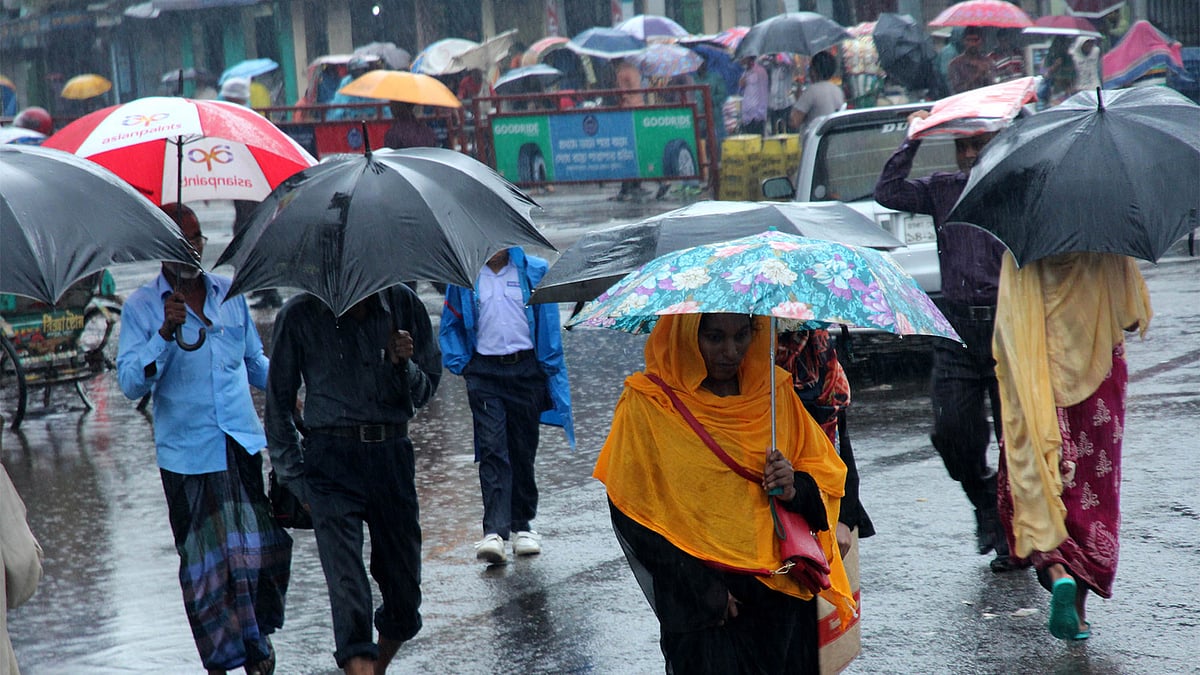 ফাইল ছবি