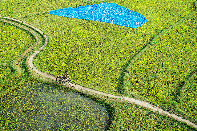 মেঠো পথ ধরে যাচ্ছেন একজন। মহানন্দা সেতু, চাঁপাইনবাবগঞ্জ। ছবি: অপু জামান