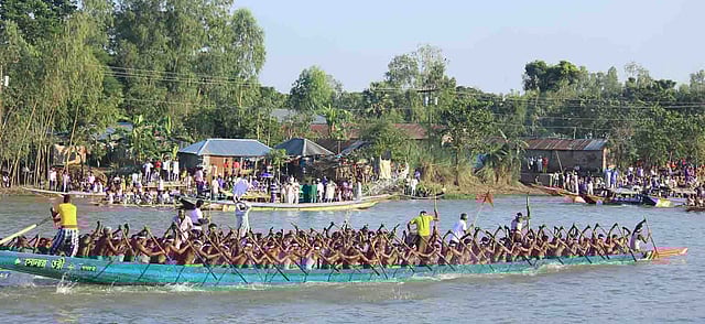 চলনবিলে নৌকাবাইচ। সিংড়া সেতু এলাকা, নাটোর, ৪ নভেম্বর। ছবি: মুক্তার হোসেন