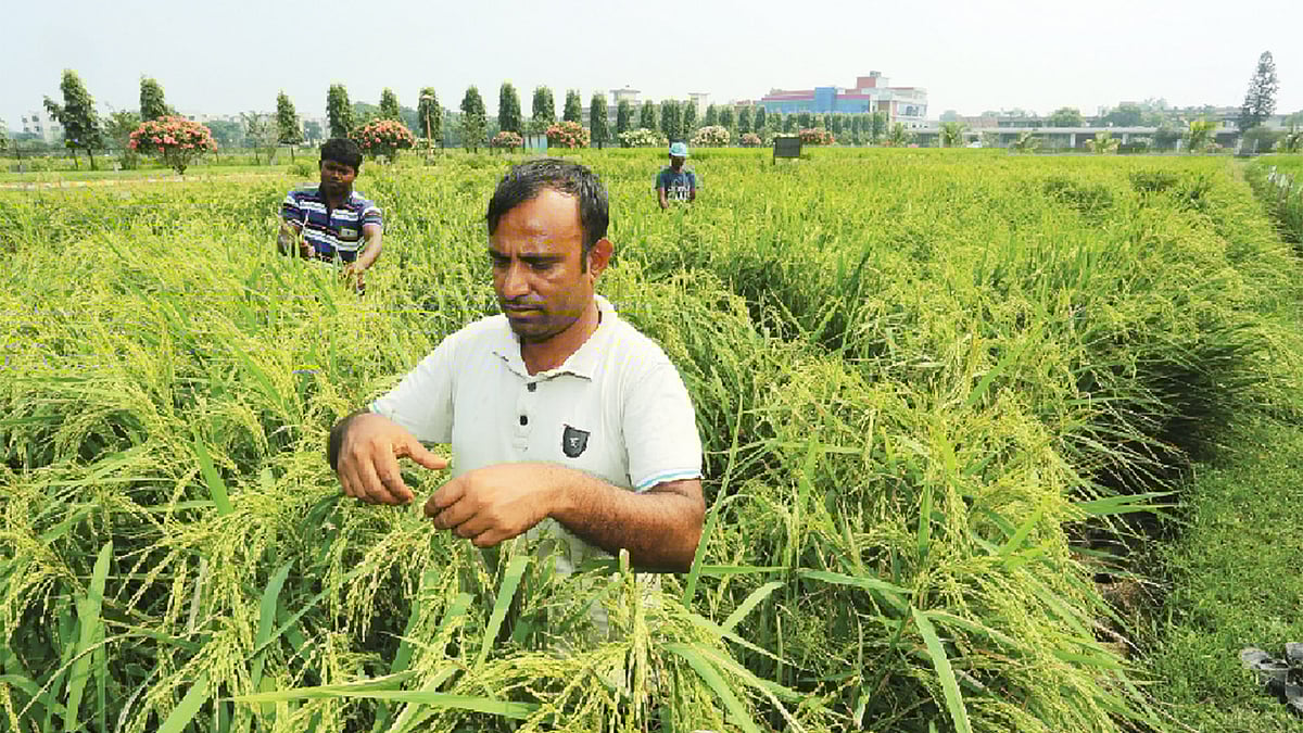 প্রথম আলো