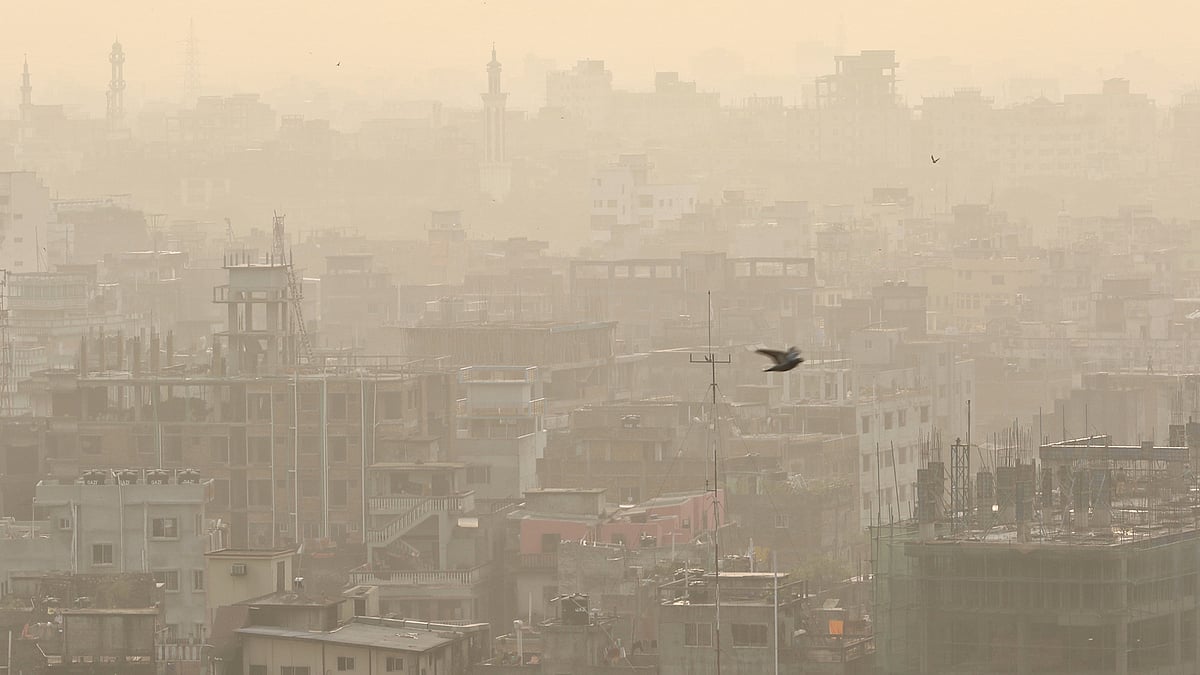ঋতুবদলের পালায় প্রকৃতিতে এখন শীতকাল। কিন্তু শীতের তেমন দেখা নেই। প্রথম আলো ফাইল ছবি।