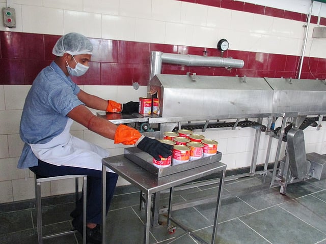 তৈরির পর কৌটাজাত করা হচ্ছে রসগোল্লা। ছবি: অমর সাহা