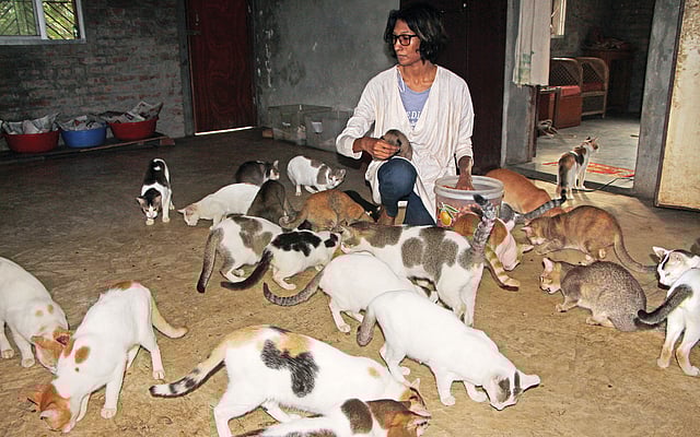 দীপান্বিতা নিজেই পরিচর্যা করেন অবলা প্রাণীদের