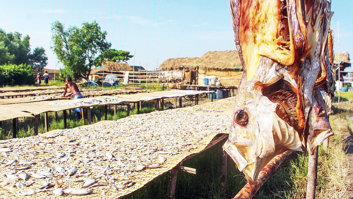 দুবলার চরের শুঁটকি গ্রাম