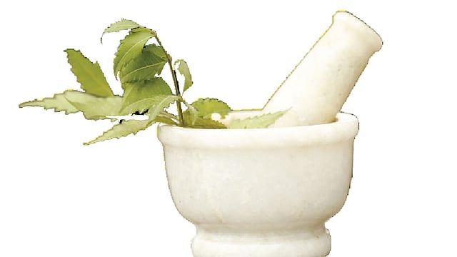 নিমপাতা