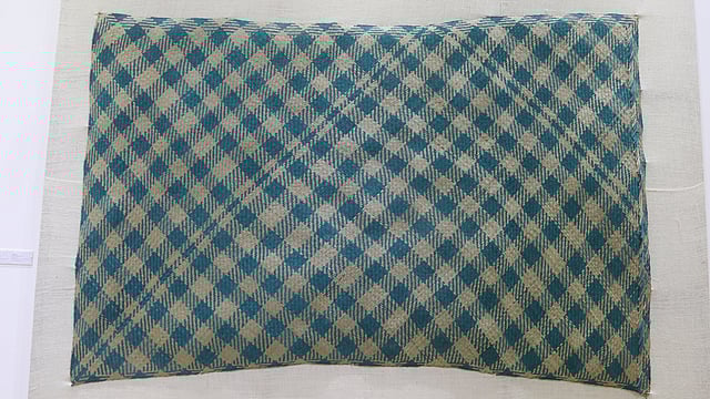 প্রাকৃতিক উপায়ে তৈরি হওয়ার কারণে স্বাস্থ্যসম্মত এই পাটি। ছবি: আবদুস সালাম