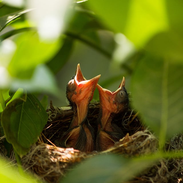ছোট্ট একটু পেটে যেন ক্ষুধার রাজ্য! খাওয়ার জন্য সারাক্ষণই হাঁ করে থাকে।